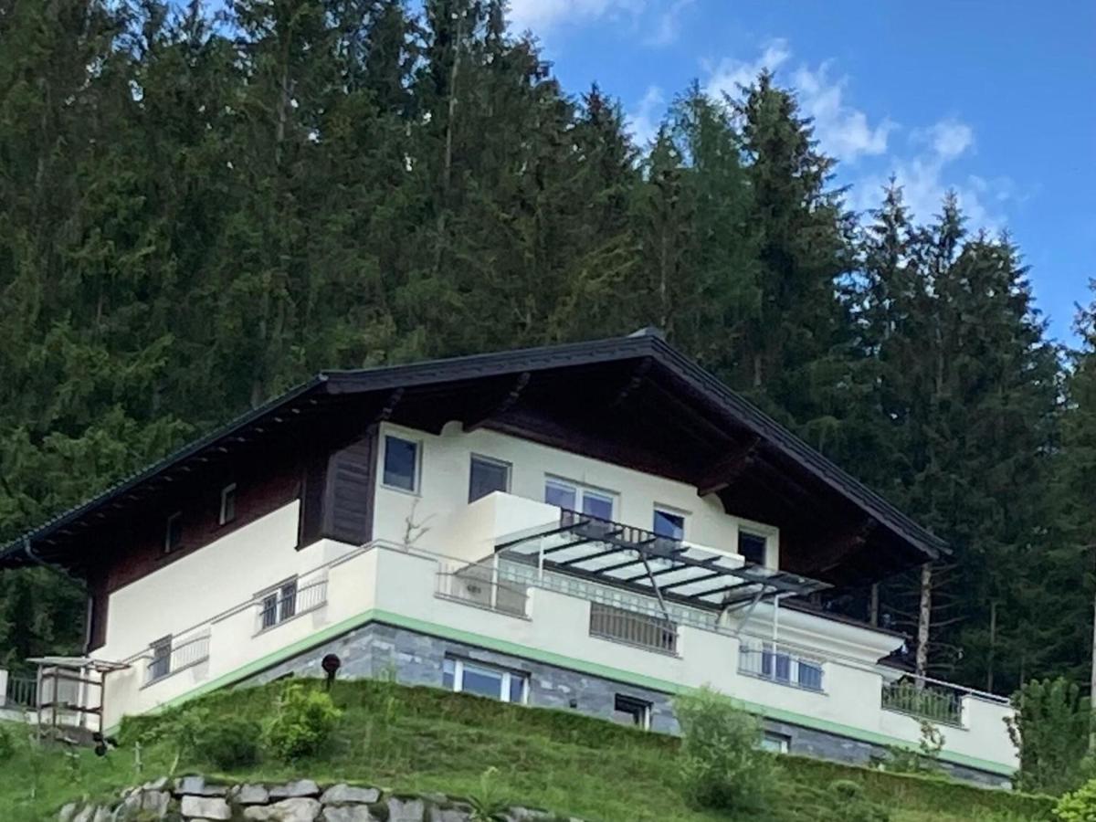 Holiday Apartment In Pinzgau With A Large Terrace 米特西尔 外观 照片