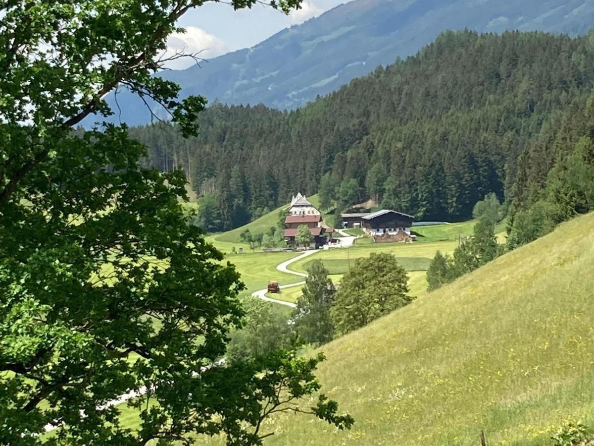 Holiday Apartment In Pinzgau With A Large Terrace 米特西尔 外观 照片