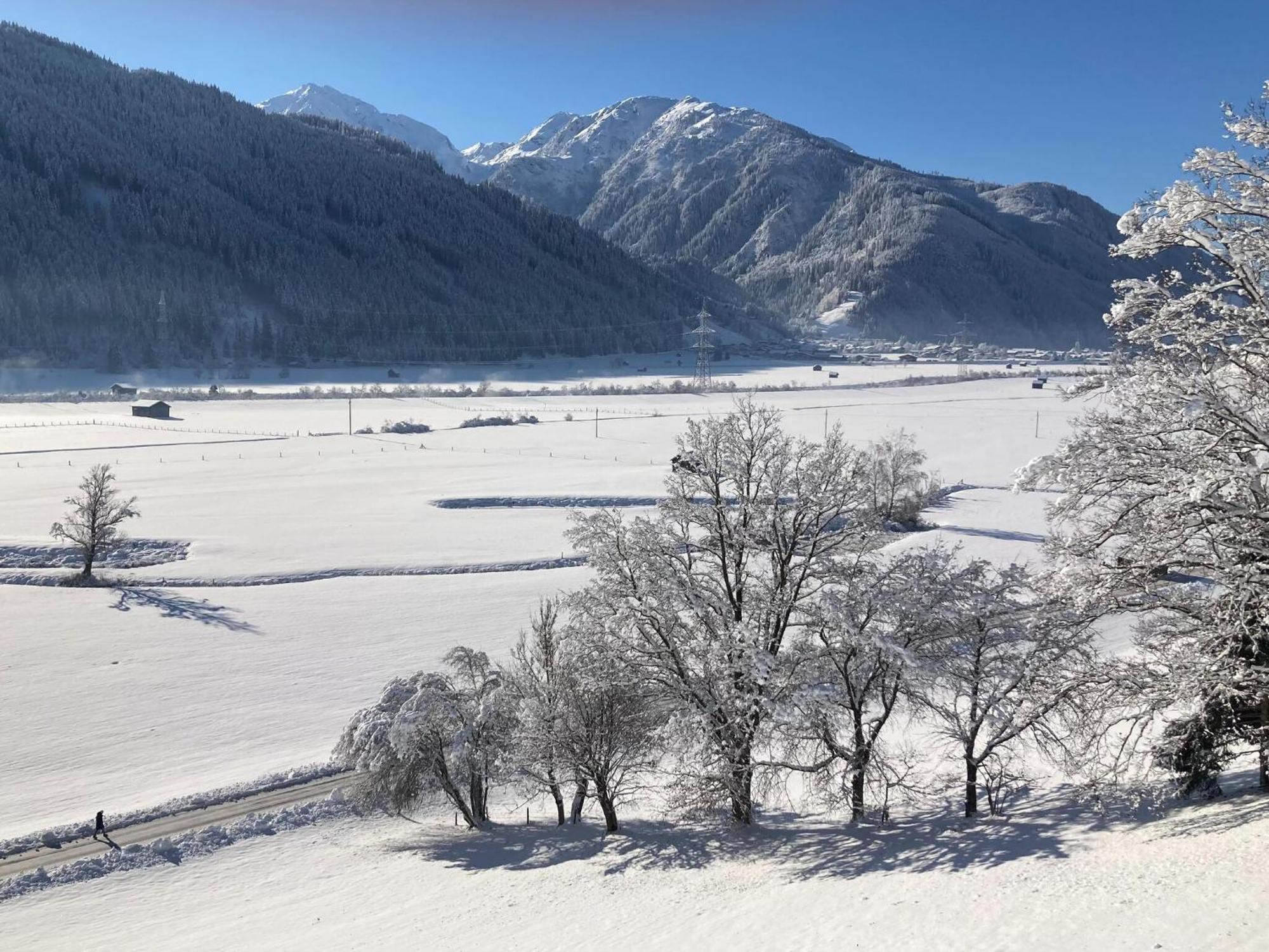 Holiday Apartment In Pinzgau With A Large Terrace 米特西尔 外观 照片